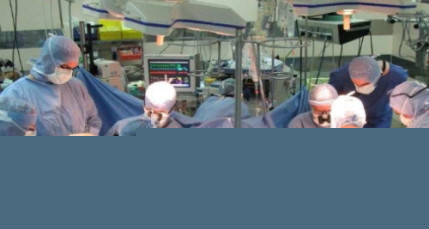 Lyon : la Fondation pour la Recherche M&eacute;dicale remet ses prix