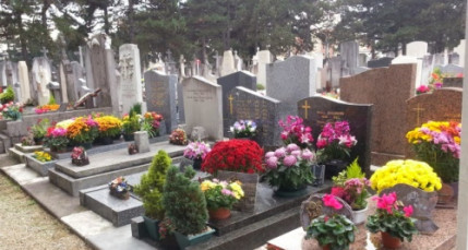 Bron : des ornements mortuaires et des tombes du cimétière dégradés Bron : des ornements mortuaires et des tombes du cimétière dégradés