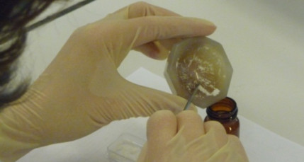 Un trafic d’héroïne démantelé dans le 8e arrondissement Un trafic d’héroïne démantelé dans le 8e arrondissement