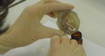 Un trafic d’héroïne démantelé dans l’agglomération Un trafic d’héroïne démantelé dans l’agglomération