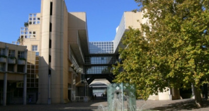 Lyon : l&rsquo;IEP, l&rsquo;ENS, Centrale et VetAgro s&rsquo;unissent