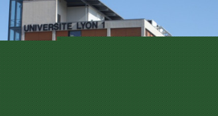Trois universit&eacute;s lyonnaises class&eacute;es parmi les meilleures au monde