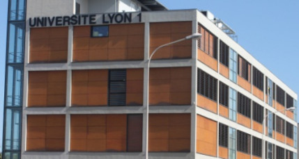 Nouvel administrateur (provisoire) pour le PRES Universit&eacute; Lyon
