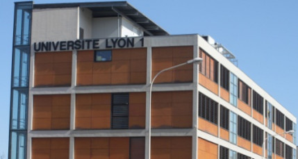 Geneviève Fioraso à Lyon ce vendredi Geneviève Fioraso à Lyon ce vendredi