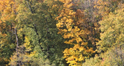 Rhône : la saison de la chasse est ouverte Rhône : la saison de la chasse est ouverte