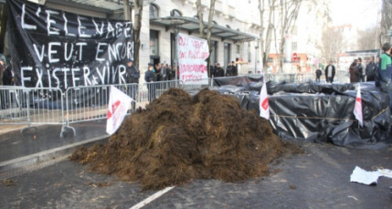 Une centaine de paysans manifestent &agrave; Lyon contre la directive Nitrates