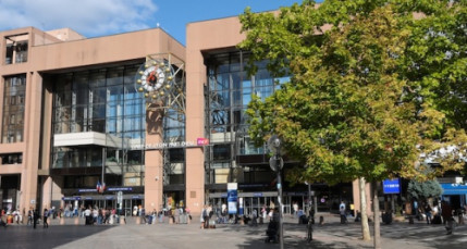 Lyon : une mule arr&ecirc;t&eacute;e &agrave; la gare de la Part-Dieu