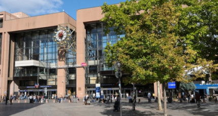 Conducteurs de train frappés à Lyon Part-Dieu : l’agresseur interné Conducteurs de train frappés à Lyon Part-Dieu : l’agresseur interné