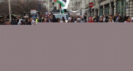 Près de 1000 personnes rassemblées à Lyon en soutien à Gaza Près de 1000 personnes rassemblées à Lyon en soutien à Gaza