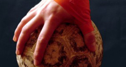 Le Villeurbanne Handball Association cherche de l'argent auprès de ses fans Le Villeurbanne Handball Association cherche de l'argent auprès de ses fans