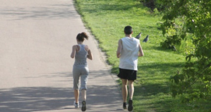 Une course contre la faim vendredi à Gerland Une course contre la faim vendredi à Gerland
