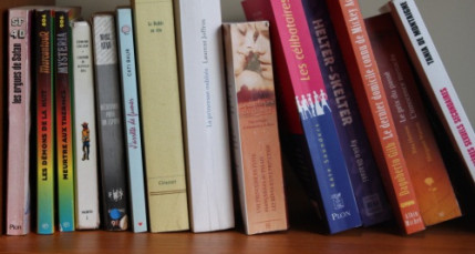 Lyon 3e ville o&ugrave; on lit le plus d'apr&egrave;s Amazon