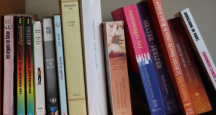 500 livres éparpillés à Lyon et Villeurbanne sur deux jours 500 livres éparpillés à Lyon et Villeurbanne sur deux jours