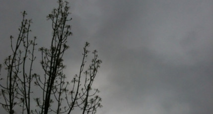 Météo : le froid va faire son retour à Lyon Météo : le froid va faire son retour à Lyon