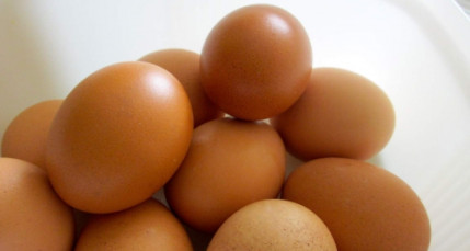 Lyon : manifestation samedi contre l’élevage de poules en batterie Lyon : manifestation samedi contre l’élevage de poules en batterie