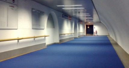 La Ligue des Champions a rapporté gros à l’Ol La Ligue des Champions a rapporté gros à l’Ol