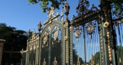 Lyon : un platane malade abattu au parc de la Tête d’Or Lyon : un platane malade abattu au parc de la Tête d’Or