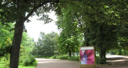 Rhône : avec les beaux jours attention au retour des pollens Rhône : avec les beaux jours attention au retour des pollens