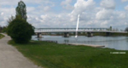 Lyon : journ&eacute;e d'&eacute;changes sur la nature en ville