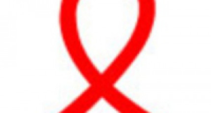 Rhône-Alpes, région pilote dans la lutte contre le Sida Rhône-Alpes, région pilote dans la lutte contre le Sida