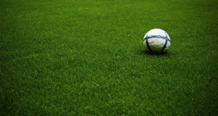 Coupe de France : les Minguettes sont &eacute;patantes !