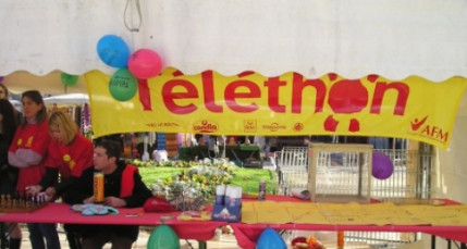 T&eacute;l&eacute;thon 2013 : 915 000 euros de dons dans le Rh&ocirc;ne