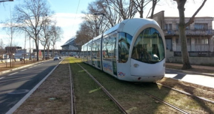 Gratuit&eacute; des TCL durant le pic de pollution : 1,4 million d'euros de pertes pour 5% de fr&eacute;quentation en plus