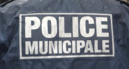 Il cambriole le bureau de sa directrice pour récupérer une plante Il cambriole le bureau de sa directrice pour récupérer une plante