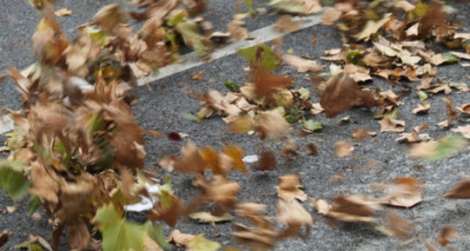 Le vent est de retour ce week-end à Lyon Le vent est de retour ce week-end à Lyon