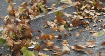 Des rafales de vent jusqu&rsquo;&agrave; 90km/h attendues &agrave; Lyon vendredi