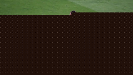 L'OL f&eacute;minin, victime d'un hold-up, quitte la ligue des champions