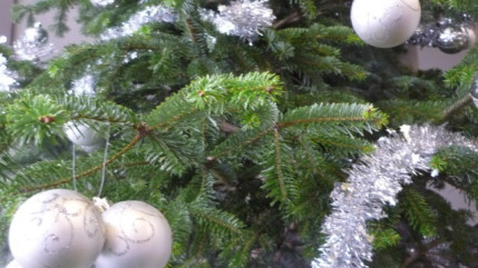 O&ugrave; se d&eacute;barrasser de son sapin &agrave; Lyon apr&egrave;s No&euml;l ?