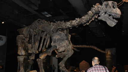 D&eacute;ambulation au Mus&eacute;e des Confluences &agrave; quelques heures de l&rsquo;ouverture