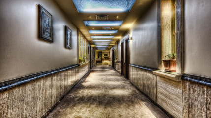 Lyon : progr&egrave;s important du secteur h&ocirc;telier en novembre