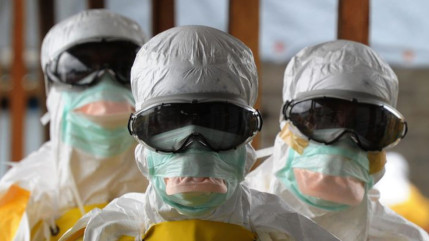 L’Organisation Mondiale de la Santé a annoncé la fin de l’épidémie d’Ebola en Guinée L’Organisation Mondiale de la Santé a annoncé la fin de l’épidémie d’Ebola en Guinée