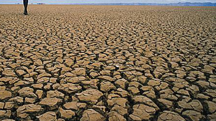 Près d'un million d'enfants en Afrique de l'Est et australe sont atteints de malnutrition aiguë sévère en raison de la sécheresse Près d'un million d'enfants en Afrique de l'Est et australe sont atteints de malnutrition aiguë sévère en raison de la sécheresse