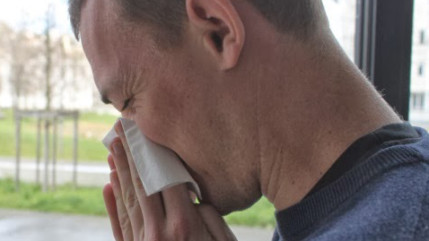 Les pollens de graminées continuent de sévir dans le Rhône Les pollens de graminées continuent de sévir dans le Rhône