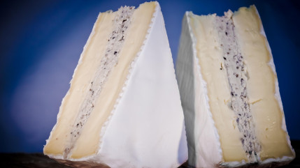 Soup&ccedil;ons de listeria : du brie aux truffes retir&eacute; de la vente en France