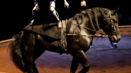 Bartabas posera de nouveau ses valises aux Nuits de Fourvi&egrave;re