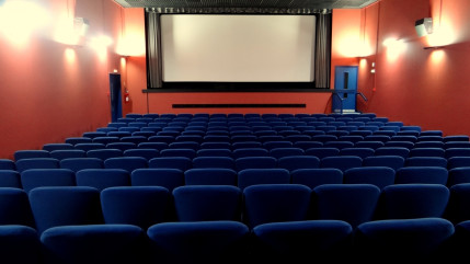 Selon le Centre national du cin&eacute;ma, pr&egrave;s des deux-tiers des Fran&ccedil;ais sont all&eacute;s au cin&eacute;ma en 2013