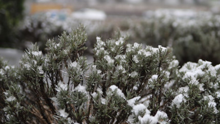 De le neige attendue &agrave; Lyon ce mercredi ? Le Rh&ocirc;ne en vigilance jaune