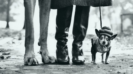 Décès d’Elliott Erwitt : une nocturne gratuite organisée à Lyon pour découvrir l’exposition consacrée au photographe Décès d’Elliott Erwitt : une nocturne gratuite organisée à Lyon pour découvrir l’exposition consacrée au photographe