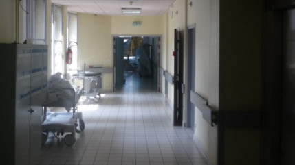 Ebola : l'Organisation mondiale de la sant&eacute; a annonc&eacute; avoir donn&eacute; son feu vert au premier test rapide de diagnostic du virus