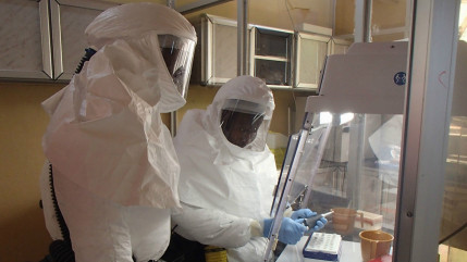 Selon l'Organisation Mondiale de la Sant&eacute;, un million de vaccins pourraient &ecirc;tre pr&ecirc;ts &agrave; utiliser en Afrique d'ici mi- 2015