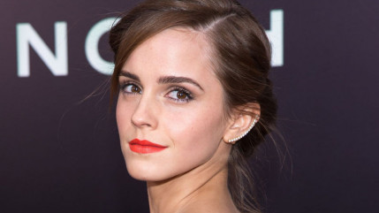 Qui sera la Bête au côté de la Belle Emma Watson ? Qui sera la Bête au côté de la Belle Emma Watson ?