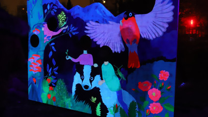 Fête des Lumières 2022 : plus de 2 millions de visiteurs dans les rues de Lyon !