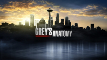 La saison 10 de Grey’s Anatomy débarque sur TF1 ! La saison 10 de Grey’s Anatomy débarque sur TF1 !