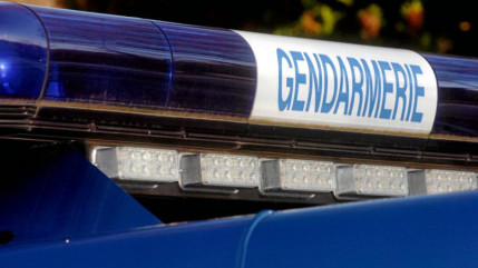 Rh&ocirc;ne : il faisait pousser du cannabis dans un sous-bois