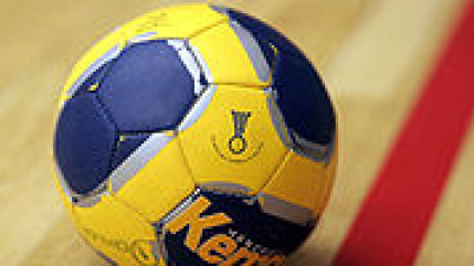 Euro 2016 de handball : les Bleus ont battu dimanche soir la Serbie (36-26) Euro 2016 de handball : les Bleus ont battu dimanche soir la Serbie (36-26)