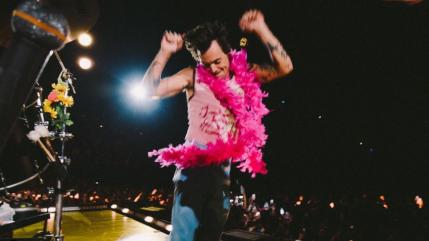 Harry Styles a refusé un rôle majeur dans "La Petite Sirène" ! Harry Styles a refusé un rôle majeur dans "La Petite Sirène" !